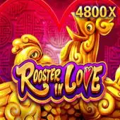 poker 808